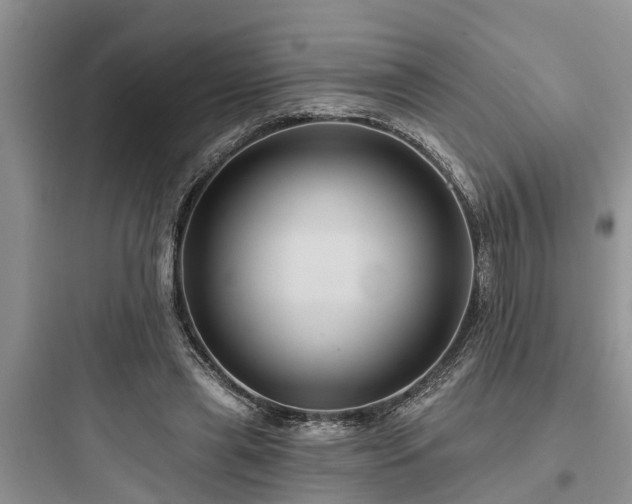 X0000097910445200803211508