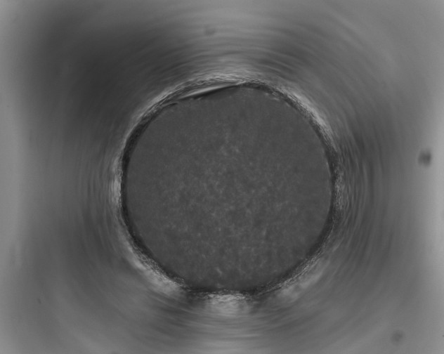 X0000097910446200803211508