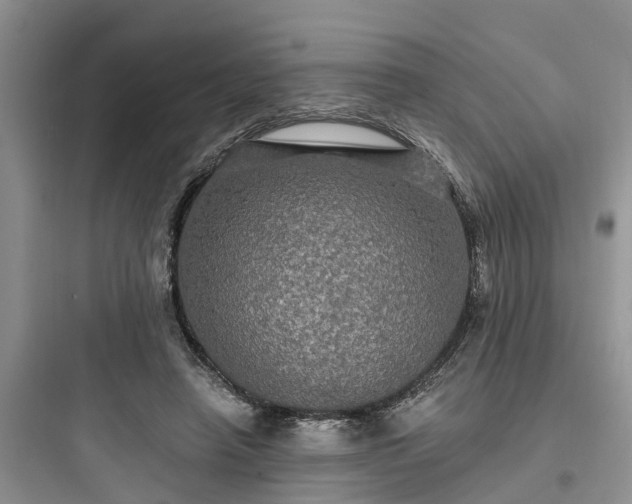 X0000097910450200803211508