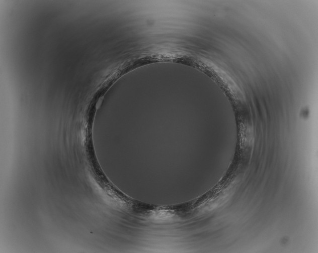 X0000097910451200803211508