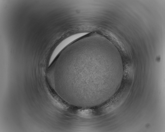 X0000097910452200803211508