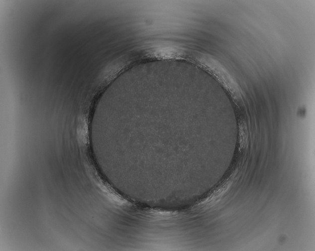 X0000097910453200803211508