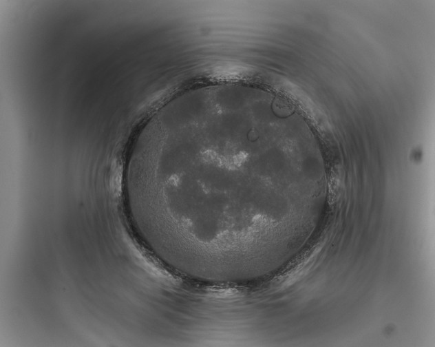 X0000097910454200803211508