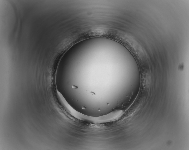 X0000097910455200803211508