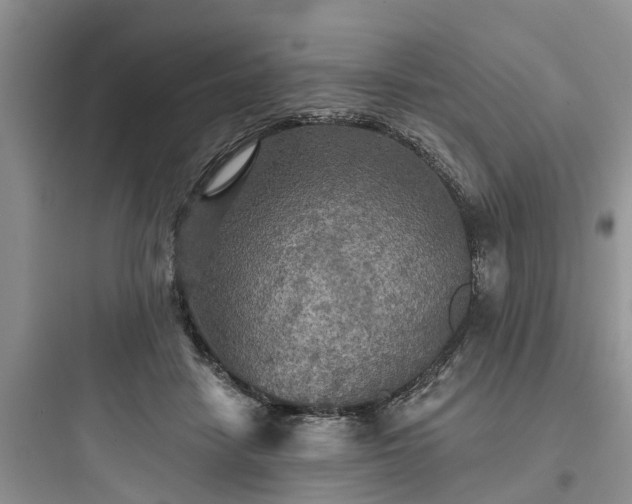 X0000097910458200803211508