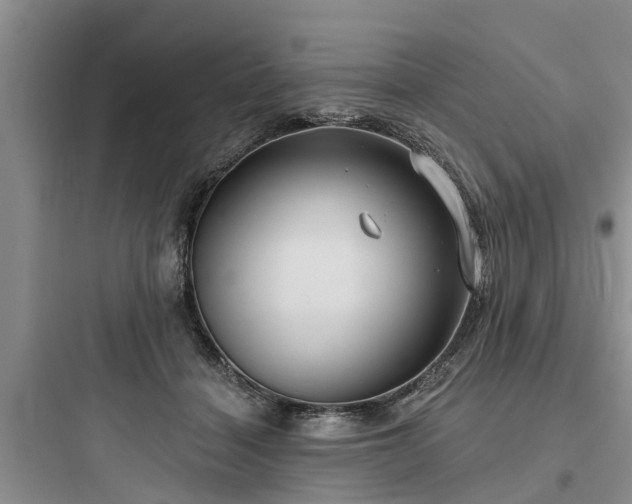 X0000097910460200803211508