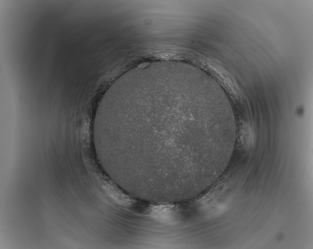 X0000097910461200803211508