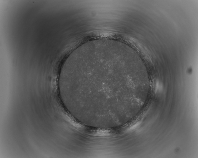 X0000097910462200803211508