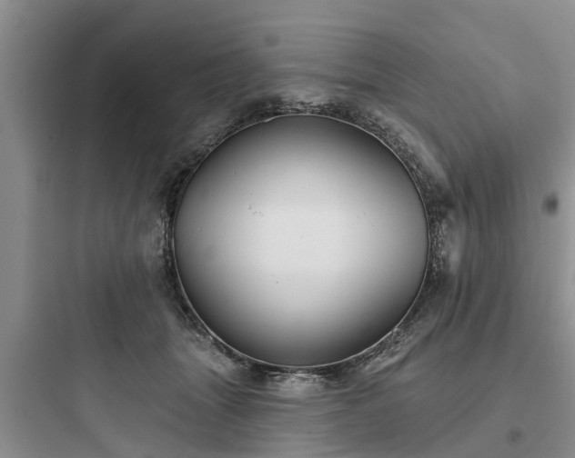 X0000097910463200803211508