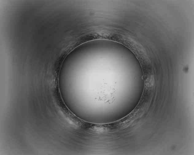 X0000097910464200803211509