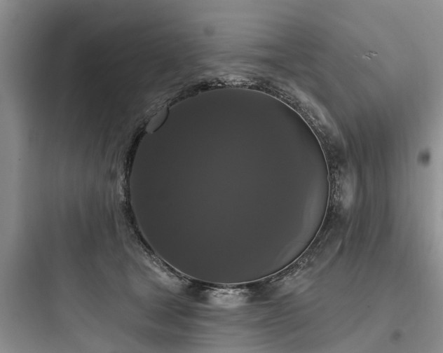 X0000097910465200803211509