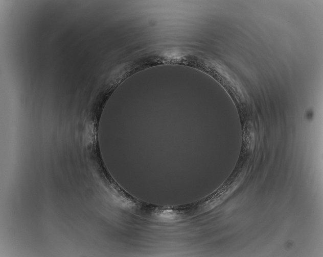 X0000097910467200803211509