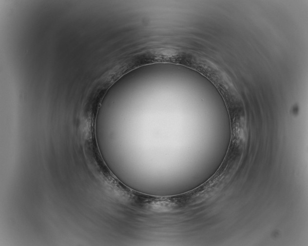 X0000097910468200803211509