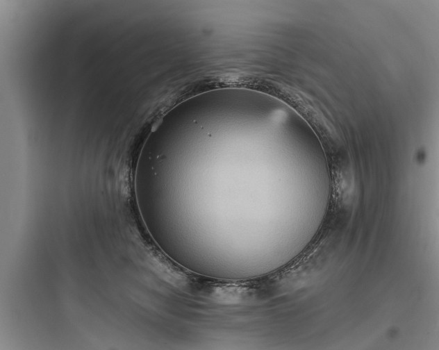 X0000097910470200803211509