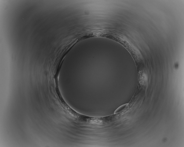 X0000097910471200803211509