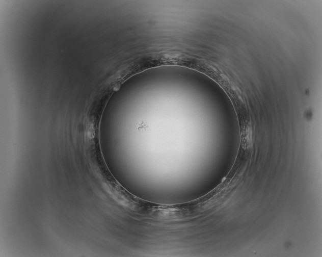 X0000097910472200803211509