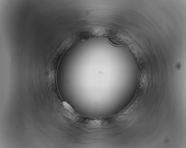 X0000097910473200803211509