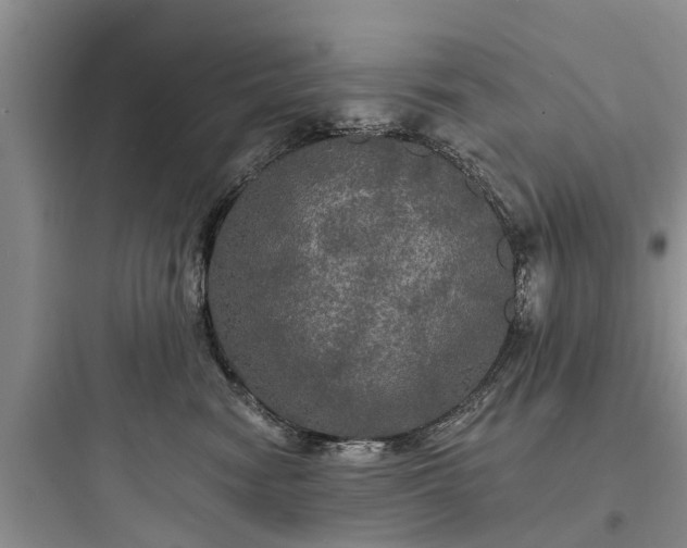 X0000097910474200803211509