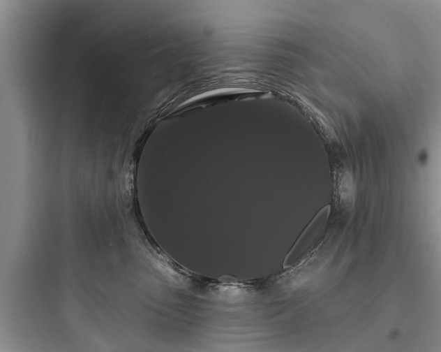 X0000097910475200803211509