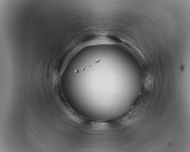 X0000097910476200803211509