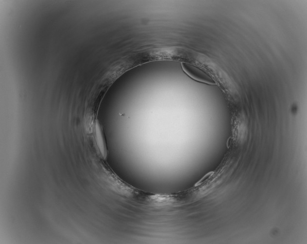 X0000097910477200803211509