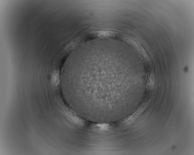 X0000097910478200803211509