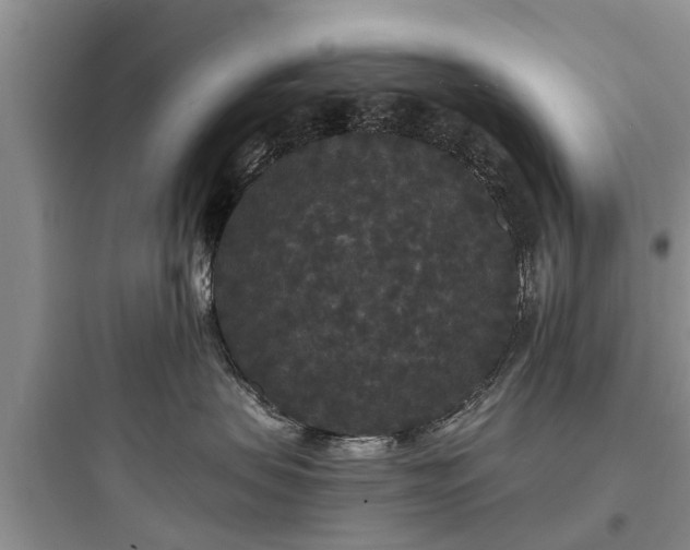 X0000097910479200803211509