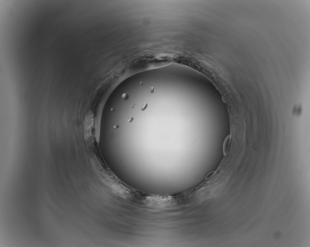 X0000097910480200803211509