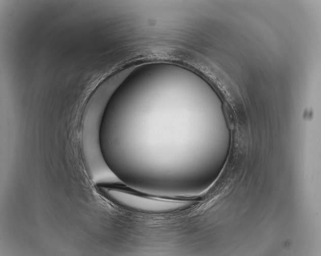 X0000097910481200803211508