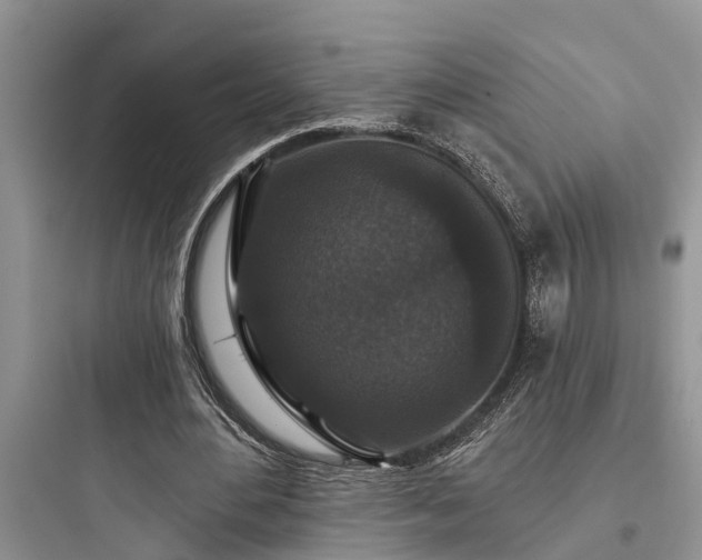 X0000097910484200803211508