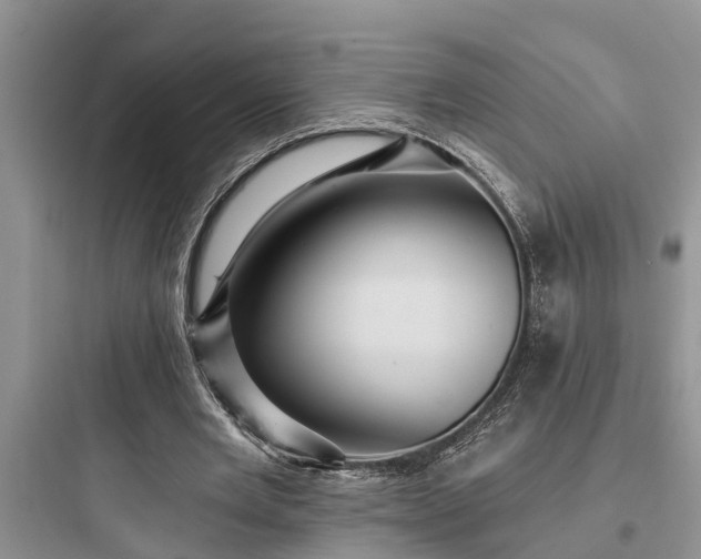 X0000097910485200803211508