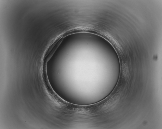 X0000097910486200803211508