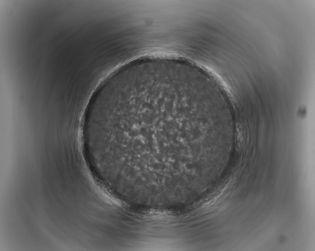 X0000097910487200803211508