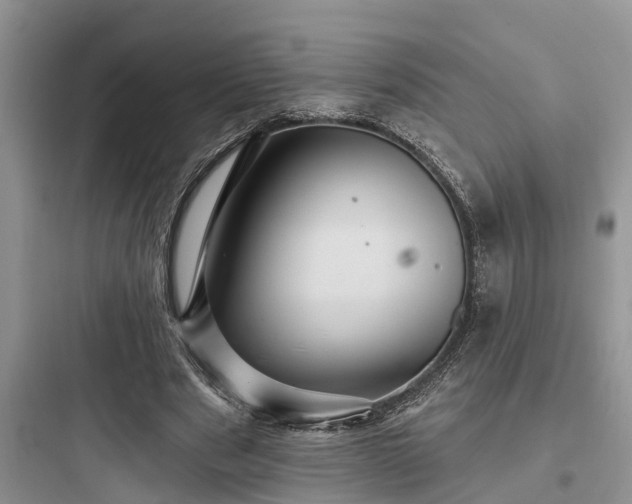 X0000097910489200803211508