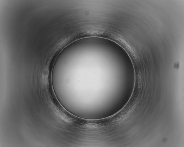 X0000097910490200803211508