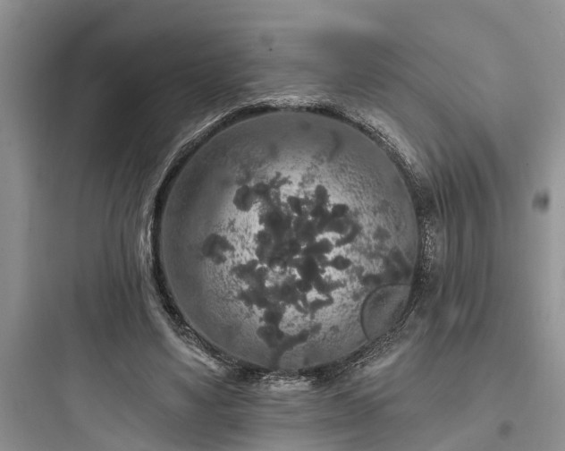 X0000097910491200803211508