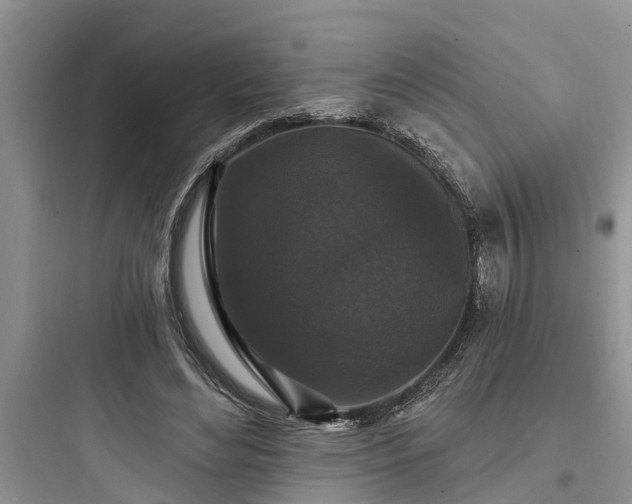 X0000097910492200803211508