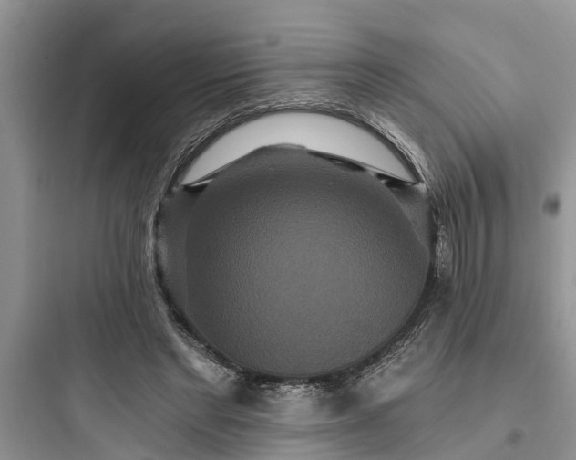 X0000097910493200803211508