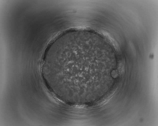 X0000097910495200803211508