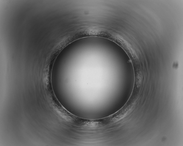 X0000097910497200803211508