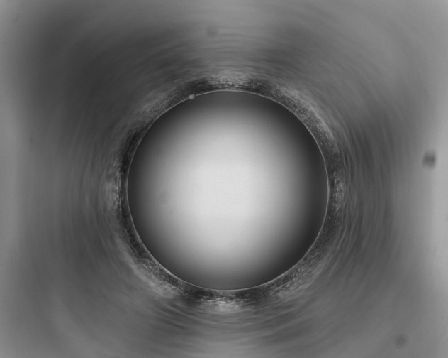 X0000097910498200803211508