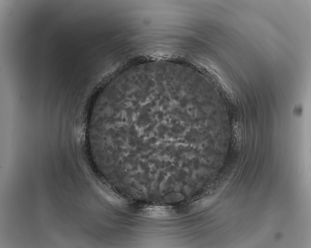 X0000097910499200803211508