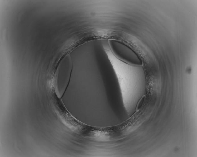 X0000097910500200803211508