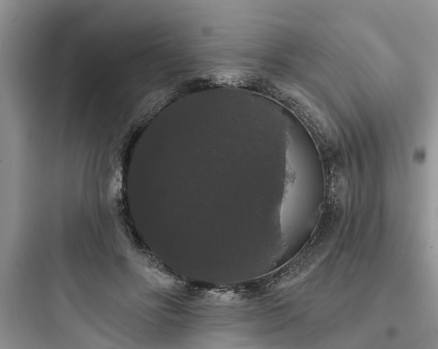 X0000097910502200803211508