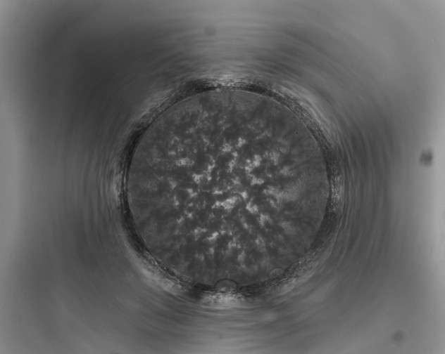 X0000097910503200803211508