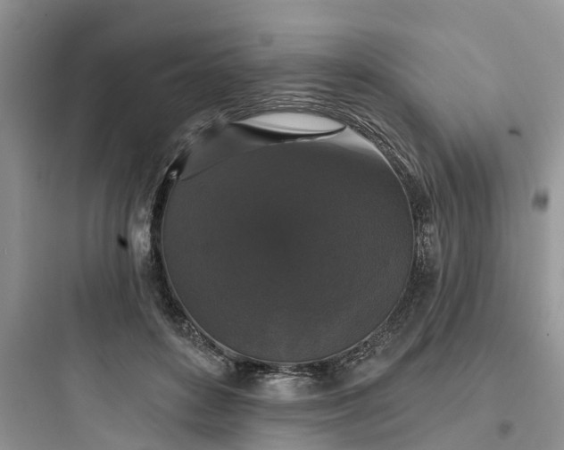 X0000097910504200803211508