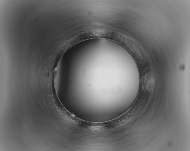 X0000097910505200803211508