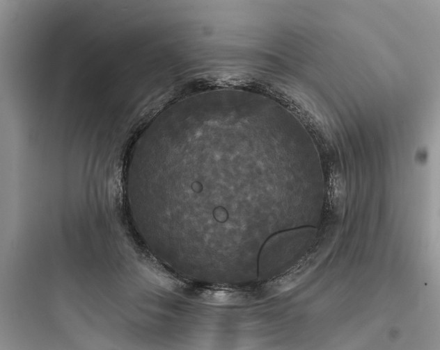 X0000097910506200803211508