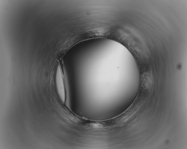 X0000097910509200803211508