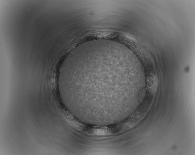 X0000097910510200803211508